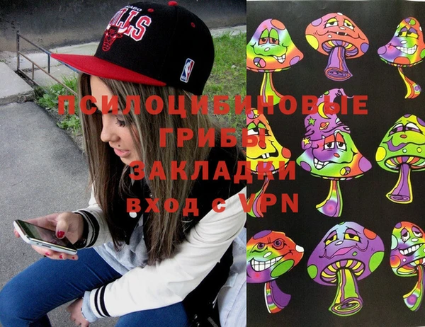 Альфа ПВП Абаза