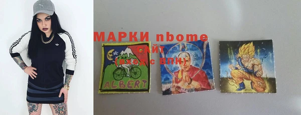 стаф Каменногорск