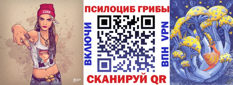 купить  цена  Шенкурск  Псилоцибиновые грибы Psilocybe 
