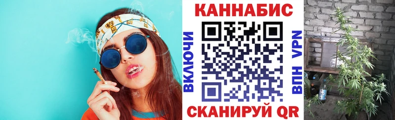 kraken маркетплейс  Шенкурск  Бошки Шишки сатива 